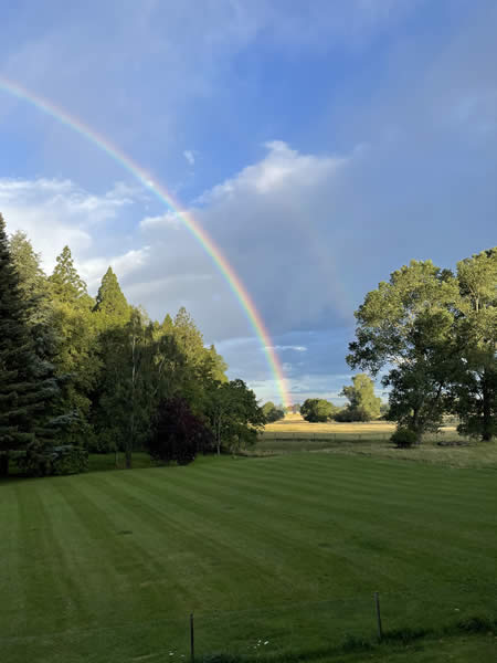 Homebush Gardens with Rainbow